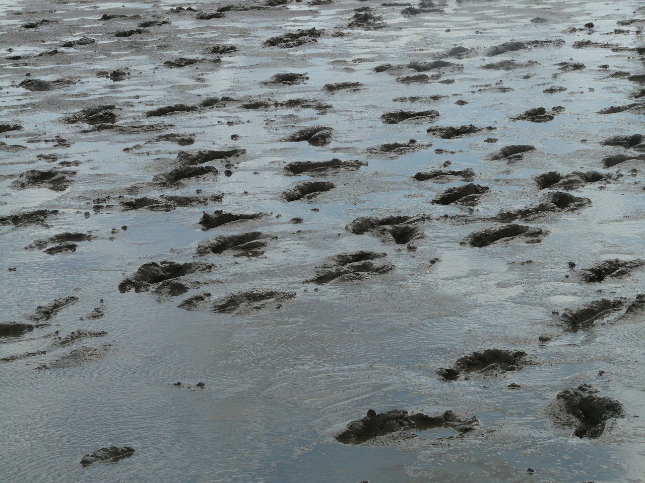 Mud photo