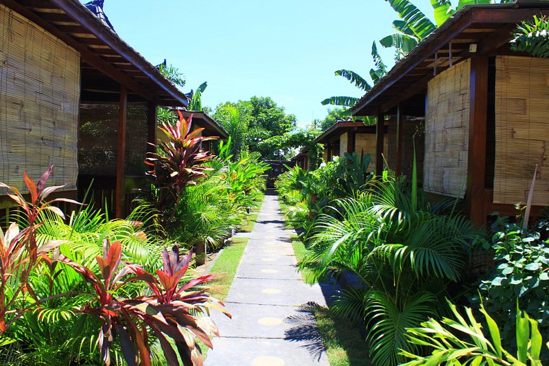 Colour Cottages Pemenang West Nusa Tenggara Indonesia (5)
