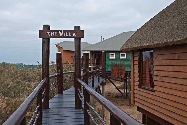 Stilt House Thatched Bungalow Wooden Walkway The Stiltz BNB Swakopmund Namibia