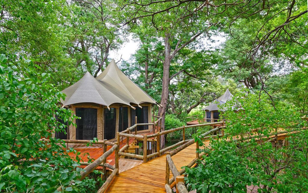 Wooden Walkway Nestled in Thick Green Forest Nambwa Tented Lodge in Bwabwata National Park Caprivi Zambezi