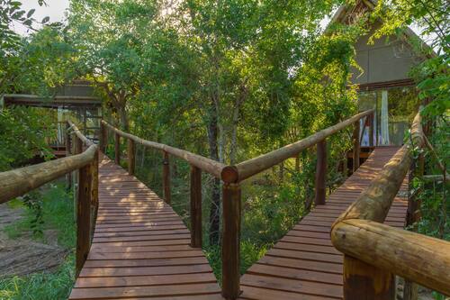 Wooden Walkway on Stilts Boardwalk Panzi Lodge Hoedspruit Limpopo Guernsey Private Nature Reserve South Africa (2)