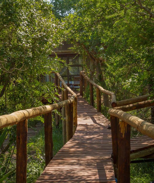 Wooden Walkway on Stilts Boardwalk Panzi Lodge Hoedspruit Limpopo Guernsey Private Nature Reserve South Africa