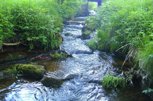 Black Forest, Baden-Wurttemberg, Germany