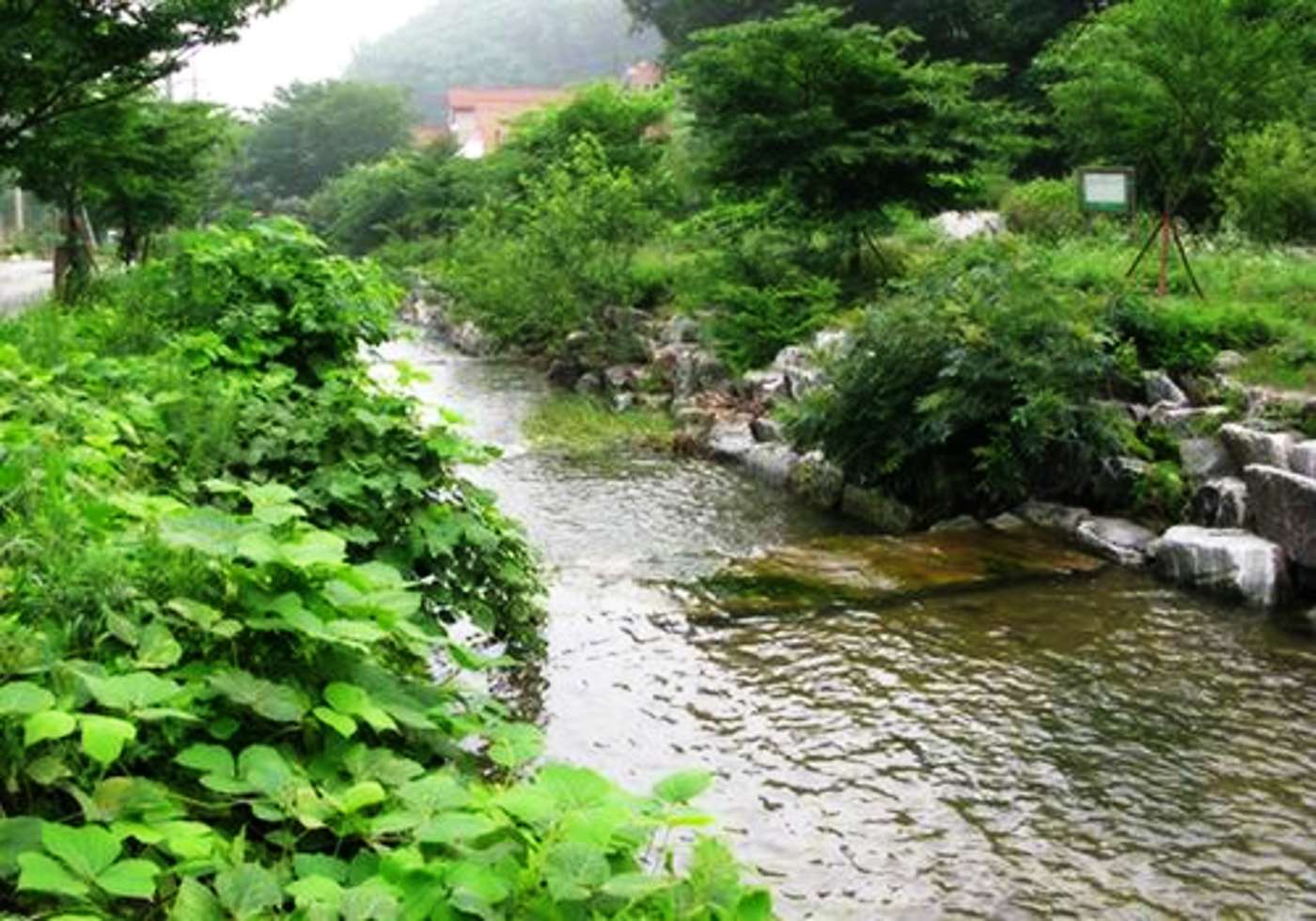 Cheonan Asan Chowon House Pension, Jonggok-Gil 96 Beon-Gil, Songa-Myeon, Cheonan, South Korea3