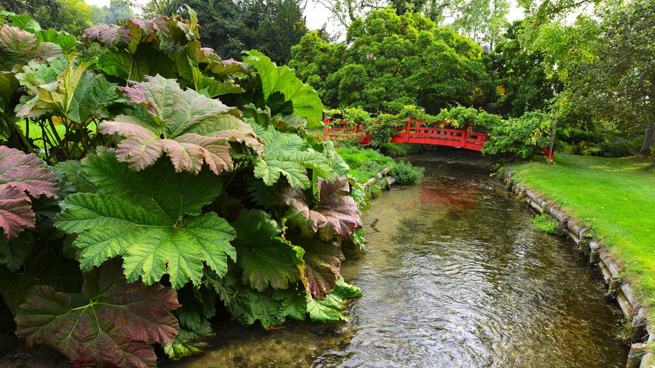 Heale Gardens at Heale House in Middle Woodford, Salisbury, UK (1)