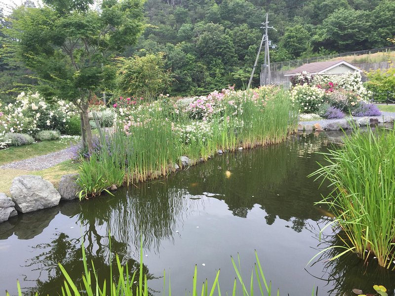 Kinki Region, Senan, Osaka Prefecture, Japan (2)