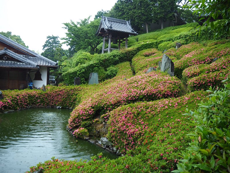 Kinki Region, Senan, Osaka Prefecture, Japan (4)