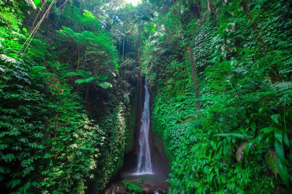Leke Leke Waterfall, Waterfall Village, Ubud, Bali, Indonesia (1)